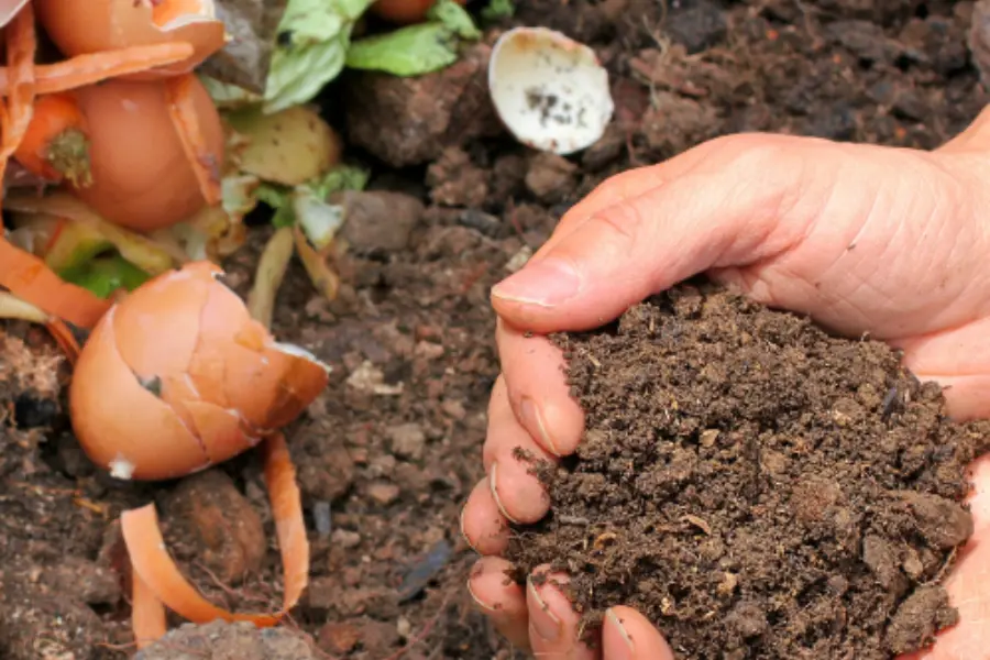 ¡Empieza a Reciclar Ahora y Transforma tu Hogar! Consejos Prácticos para un Futuro Sostenible 10 Compostaje de Residuos Orgánicos