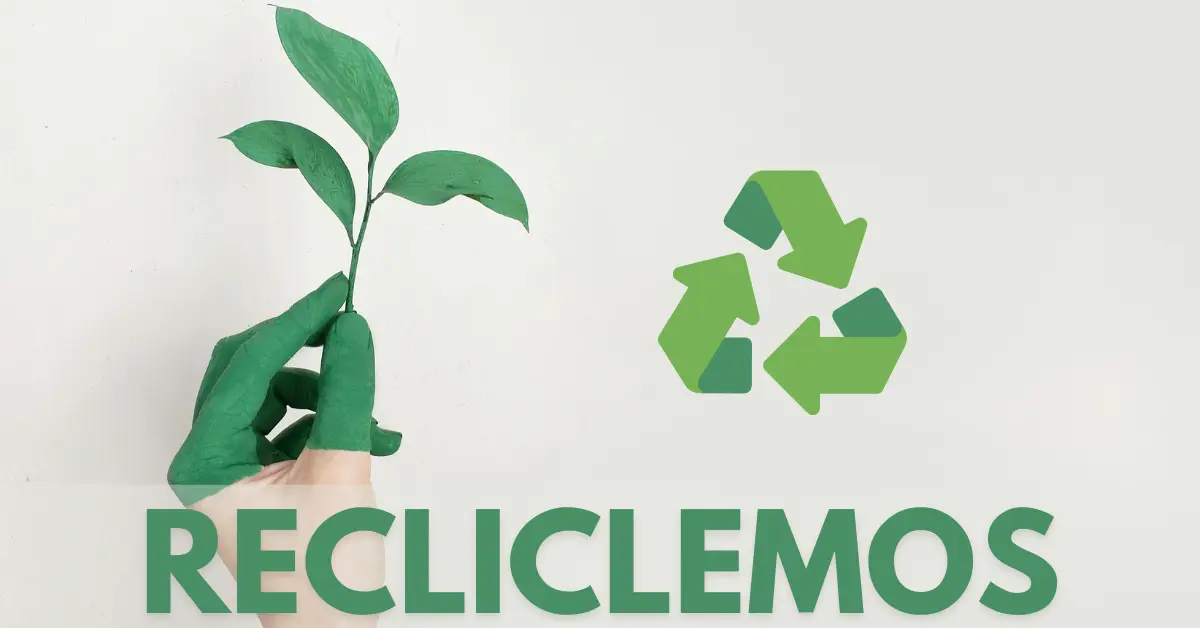 ¡Empieza a Reciclar Ahora y Transforma tu Hogar! Consejos Prácticos para un Futuro Sostenible 1 "Mano sosteniendo una planta verde junto al símbolo de reciclaje, simbolizando el compromiso con el medio ambiente y la importancia del reciclaje."