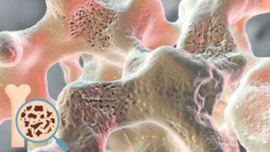 Entiende la Menopausia: Síntomas y Manejo 2 Entiende la Menopausia: Síntomas y Manejo